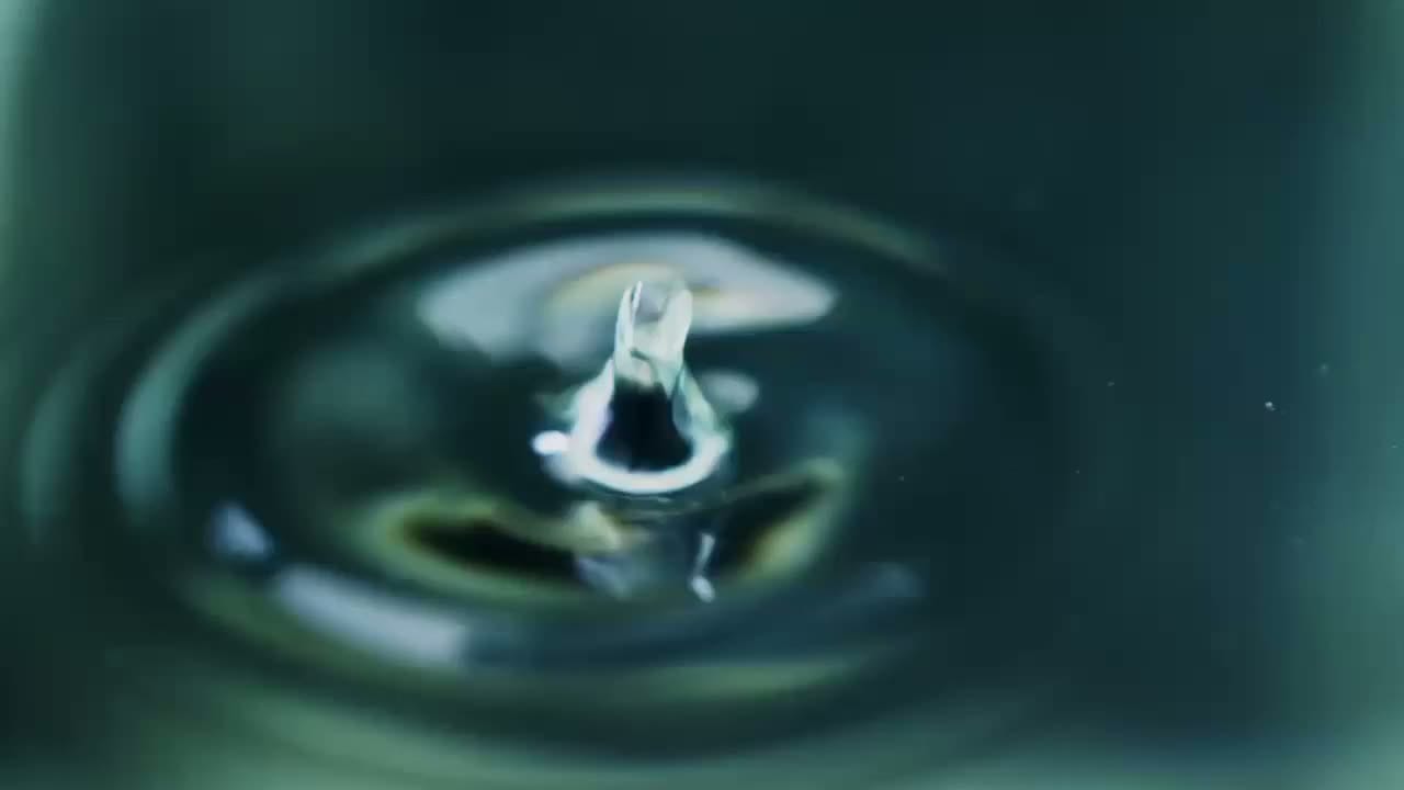 9667529-hd_1920_1080_25fps-converted
