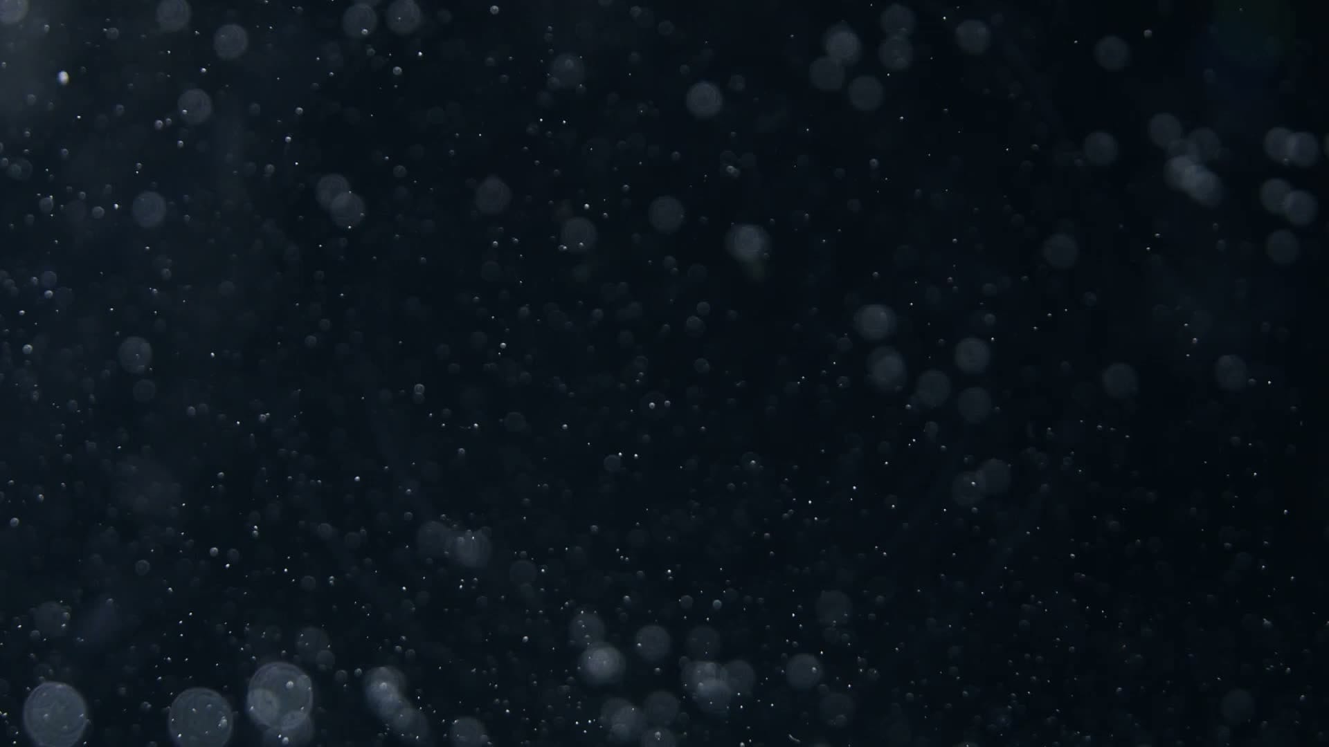 9667568-hd_1920_1080_25fps
