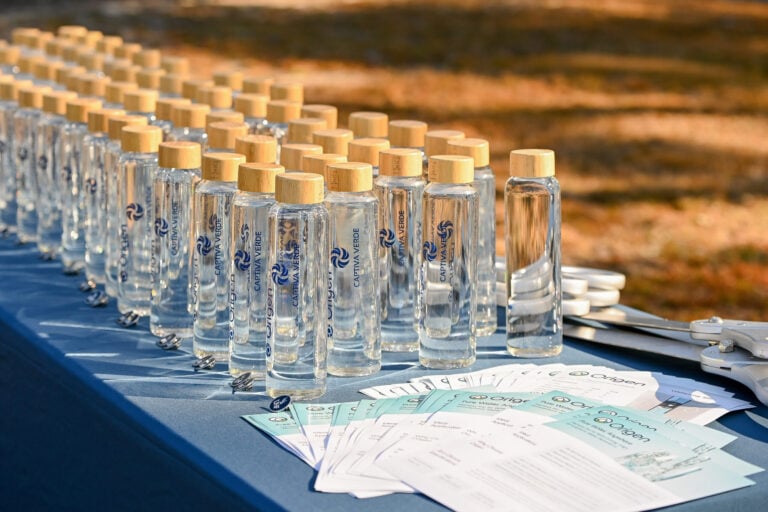 Clear glass water bottles with wooden caps arranged on a table, alongside printed materials and scissors.