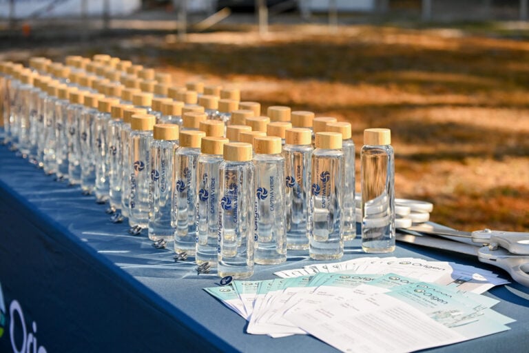 Clear bottles with wooden caps arranged on a table, alongside paperwork and scissors, set against a grassy background.