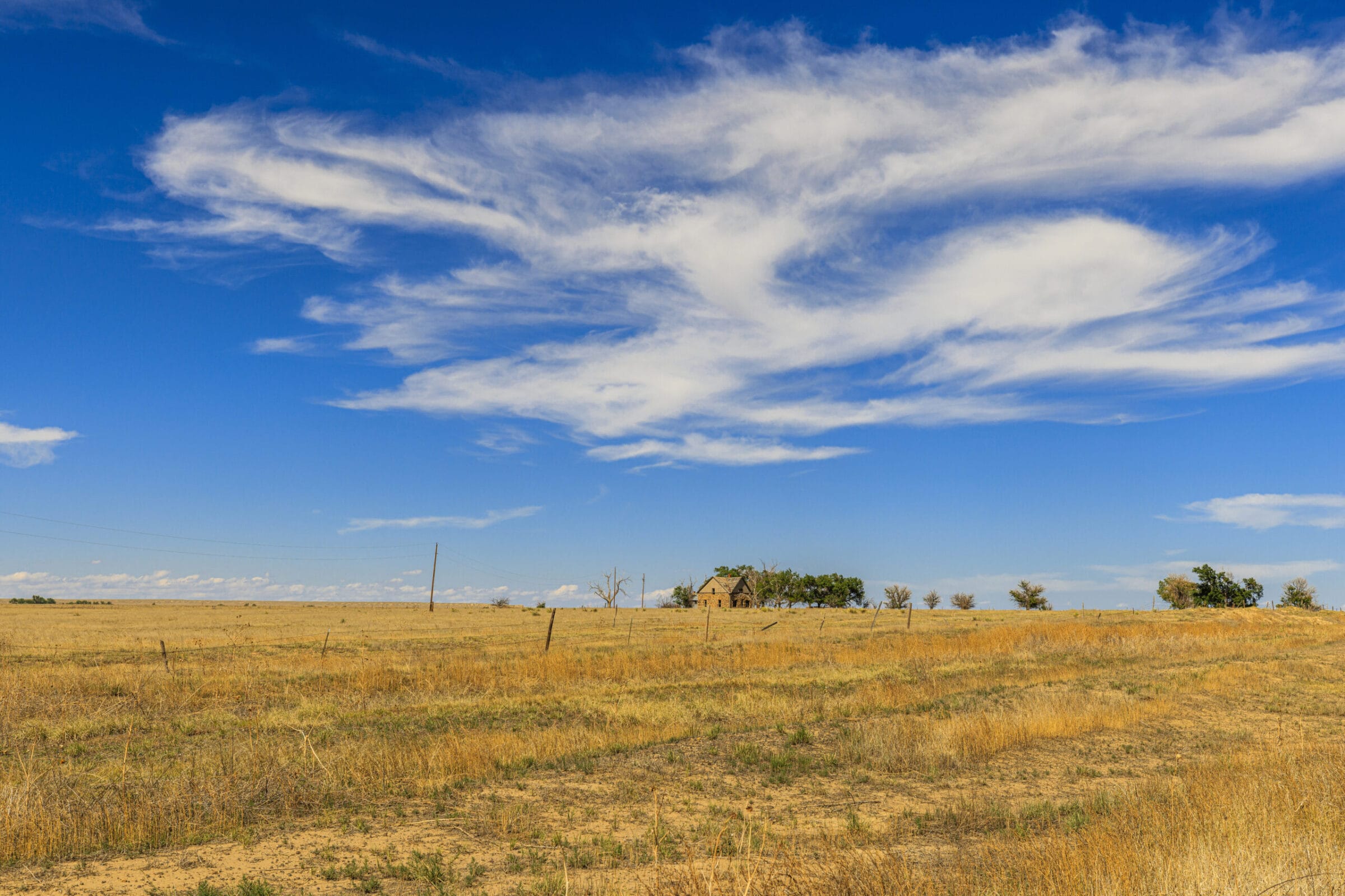 Vast golden field under a bright blue sky with wispy clouds, featuring a small rustic house and distant trees.