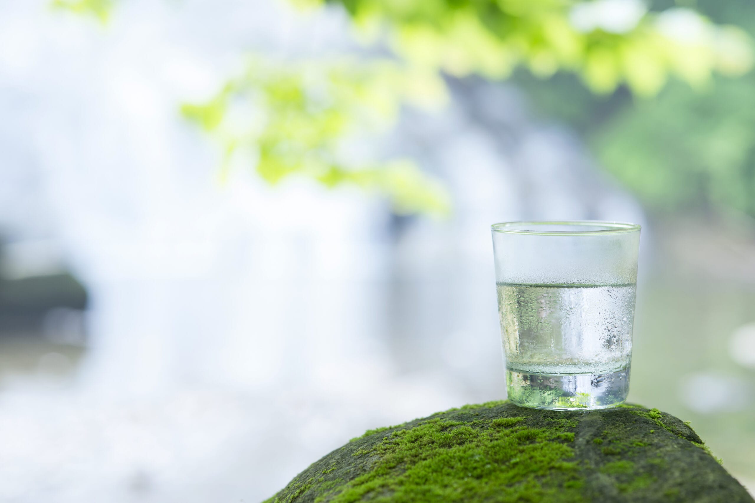 A glass of water sits on a moss-covered rock, with a blurred waterfall and greenery in the background.